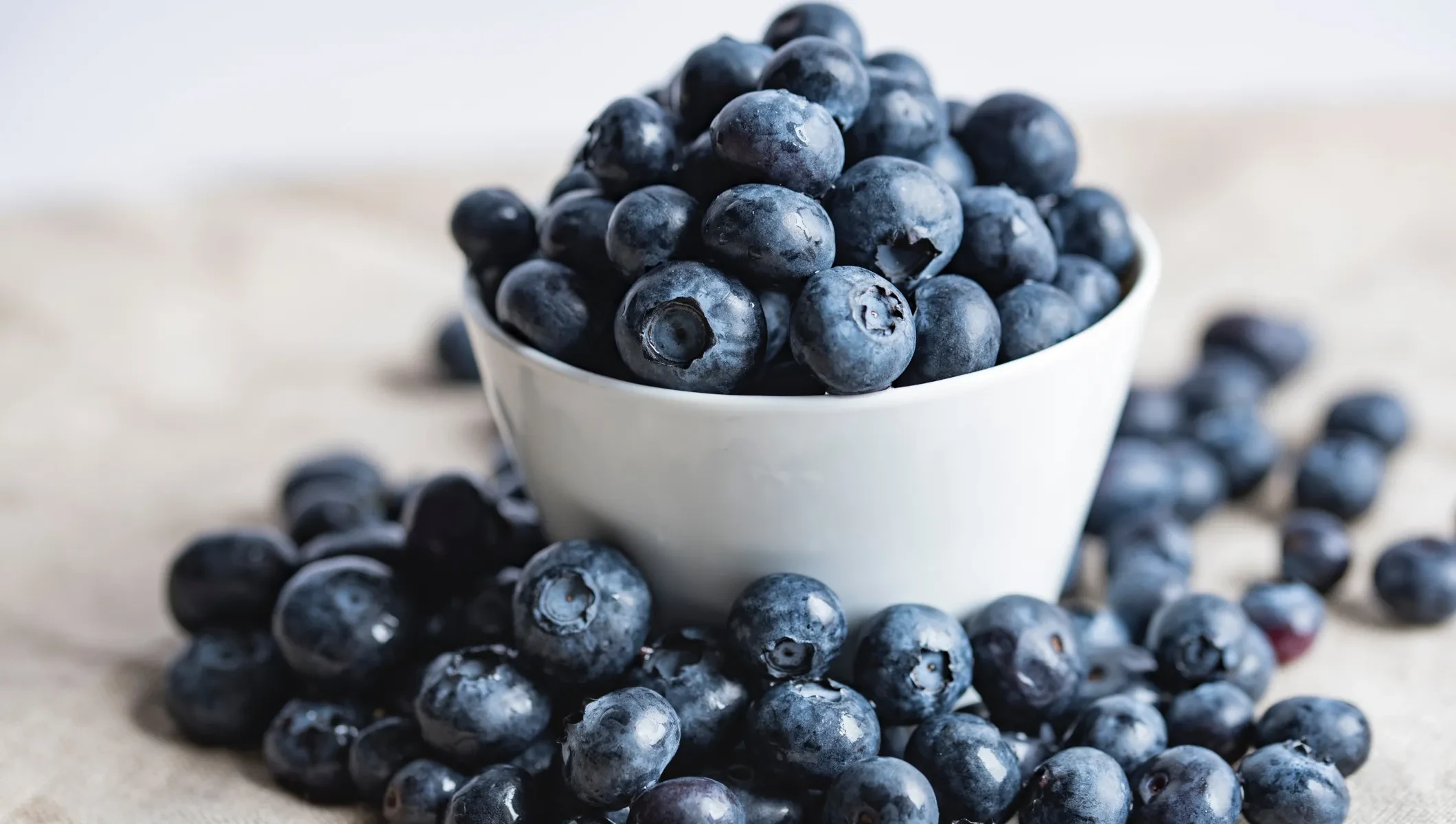 Heidelbeeren