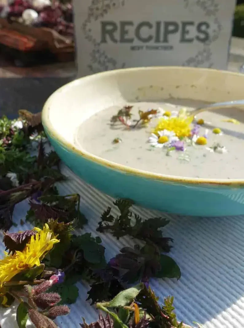 Frühlingssuppe