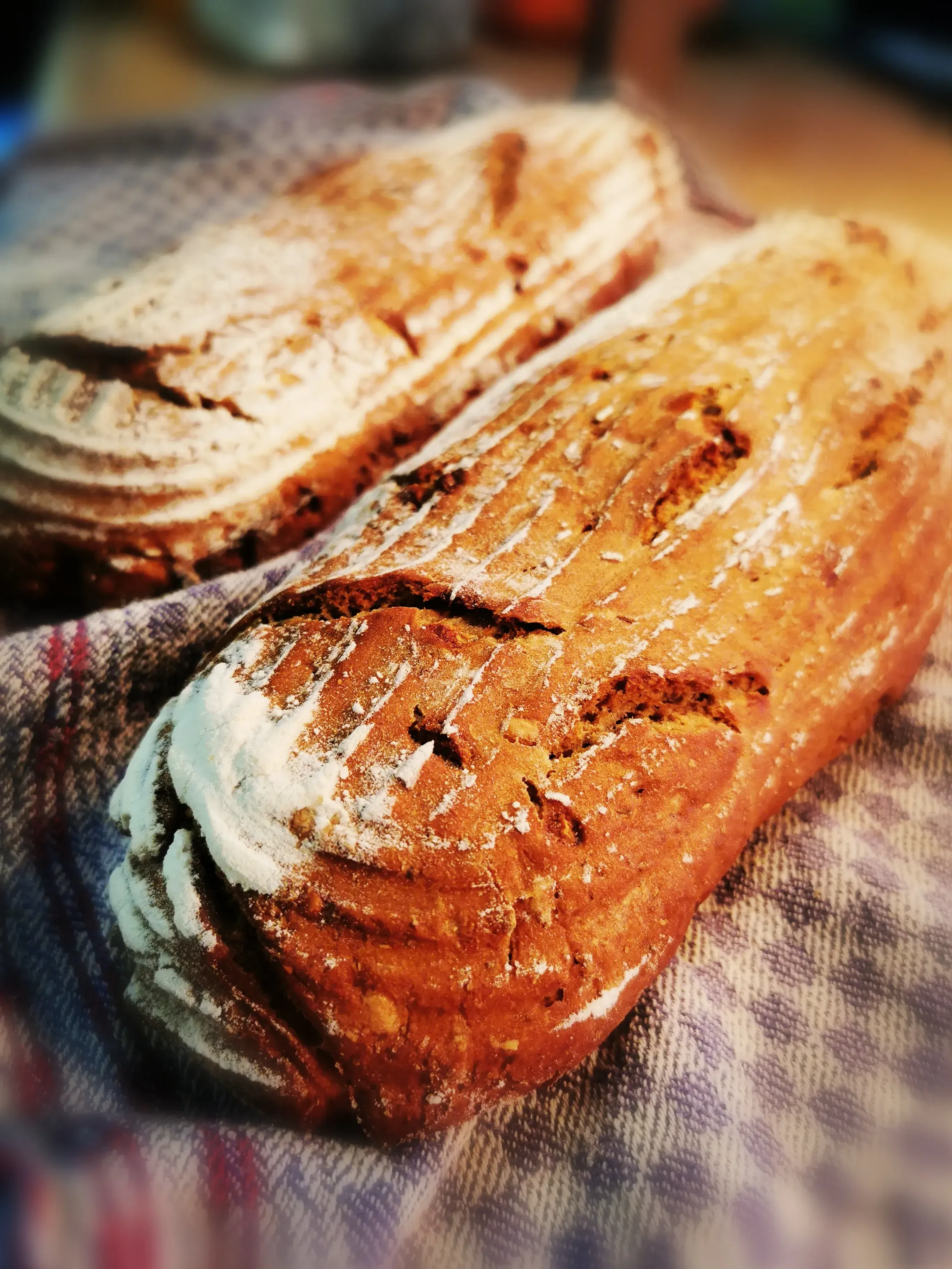 Latschenalm Brot von der Alm genießen 