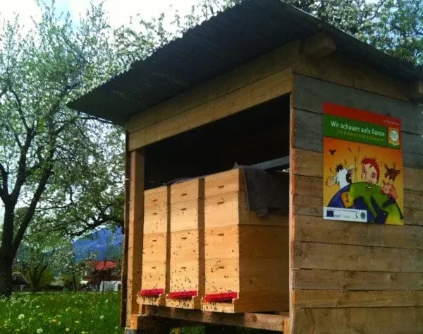 Bienenstock