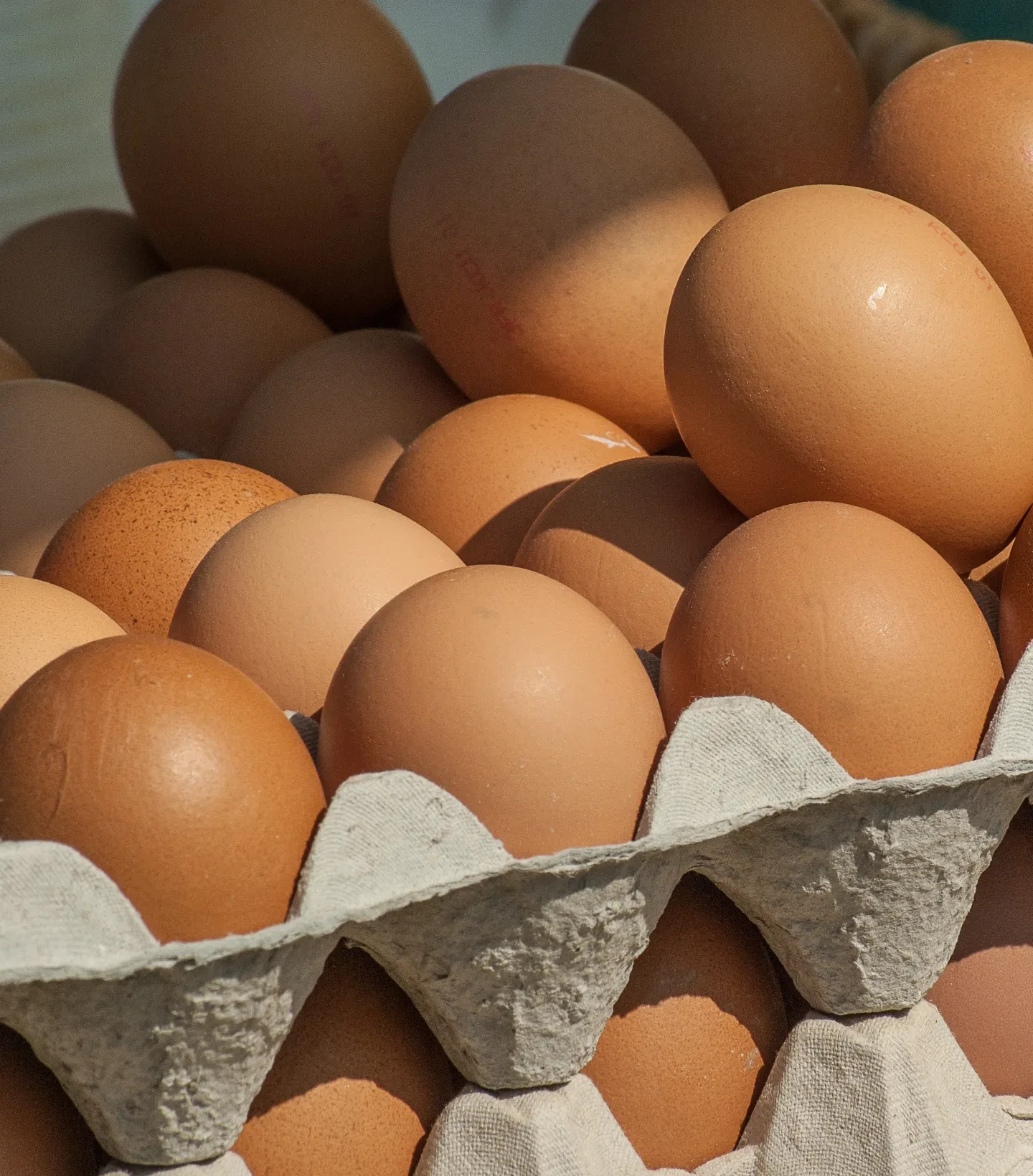 Eier
