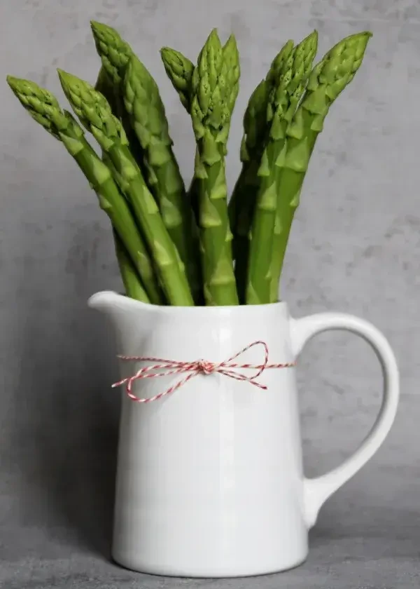 Grüner Spargel in der Vase