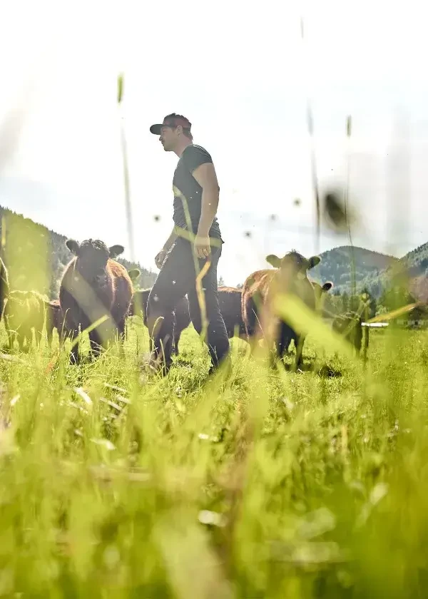 Biofarm Teufl-Galloway