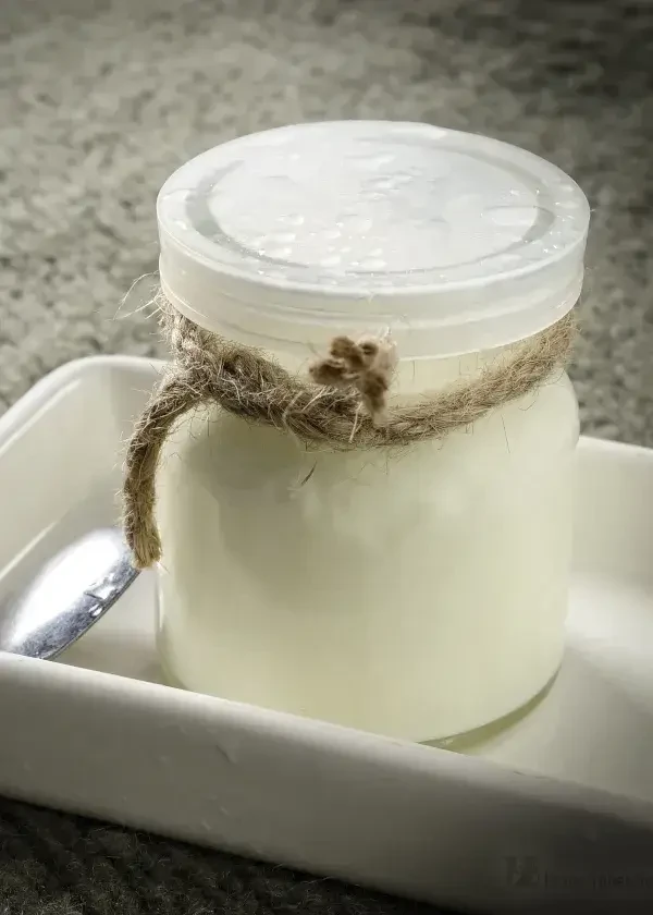 Joghurt selber gemacht